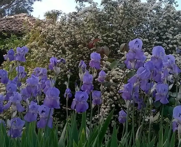Frühstückspension Il Casale Dell'ara Delle Rose Rom