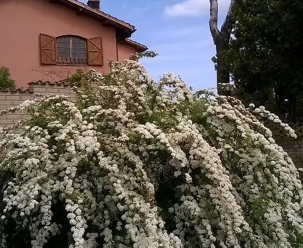 Il Casale Dell'ara Delle Rose Frühstückspension Rom